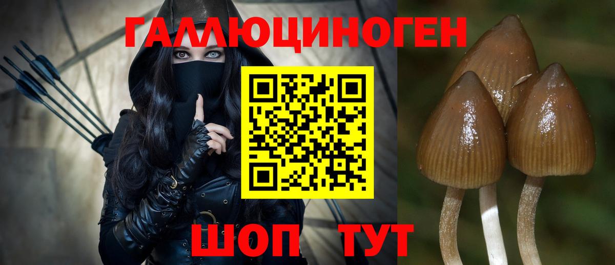 Псилоцибиновые грибы MAGIC MUSHROOMS  Вход с VPN  Кашира 