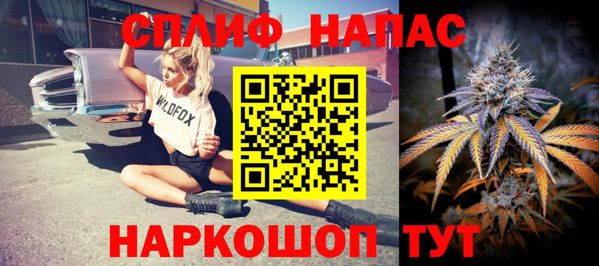 Марихуана сатива Кашира